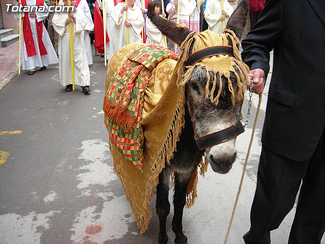 Domingo de Ramos. Semana Santa 2007. Reportaje II - 74