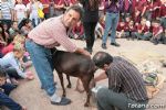 Esquilado y ordeñado