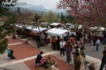 Mercadillo Primavera 