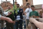 Mercadillo Primavera 