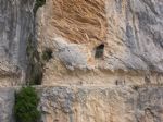 Picos de Europa