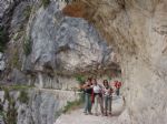 Picos de Europa