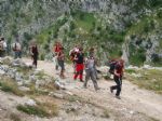 Picos de Europa