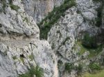 Picos de Europa