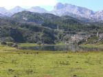 Picos de Europa