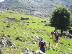 Picos de Europa