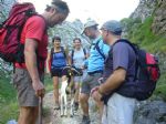 Picos de Europa