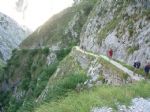 Picos de Europa