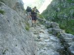 Picos de Europa