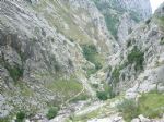 Picos de Europa