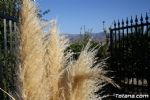 Romeria Lebor 2011