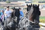 Romeria Lebor 2011