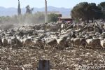 Romeria Lebor 2011