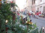 Procesion San Roque