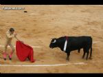 Toros Totana