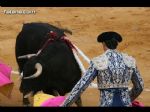 Toros Totana