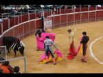 Toros Totana