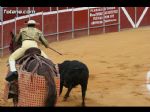 Toros Totana