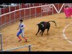 Toros Totana