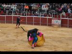 Toros Totana