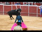 Toros Totana