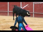 Toros Totana