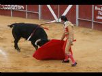 Toros Totana