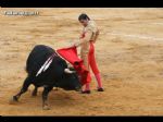 Toros Totana