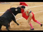 Toros Totana