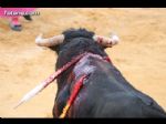 Toros Totana