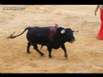 Toros Totana