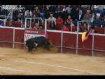 Toros Totana