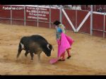 Toros Totana