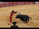 Toros Totana