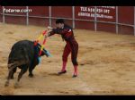 Toros Totana