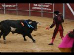 Toros Totana