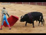 Toros Totana