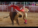 Toros Totana