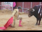 Toros Totana