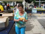 Tortilla gigante