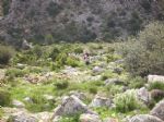 Vuelta a Sierra Espuña