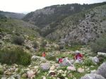 Vuelta a Sierra Espuña