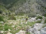 Vuelta a Sierra Espuña