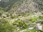 Vuelta a Sierra Espuña