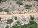 Vuelta a Sierra Espuña